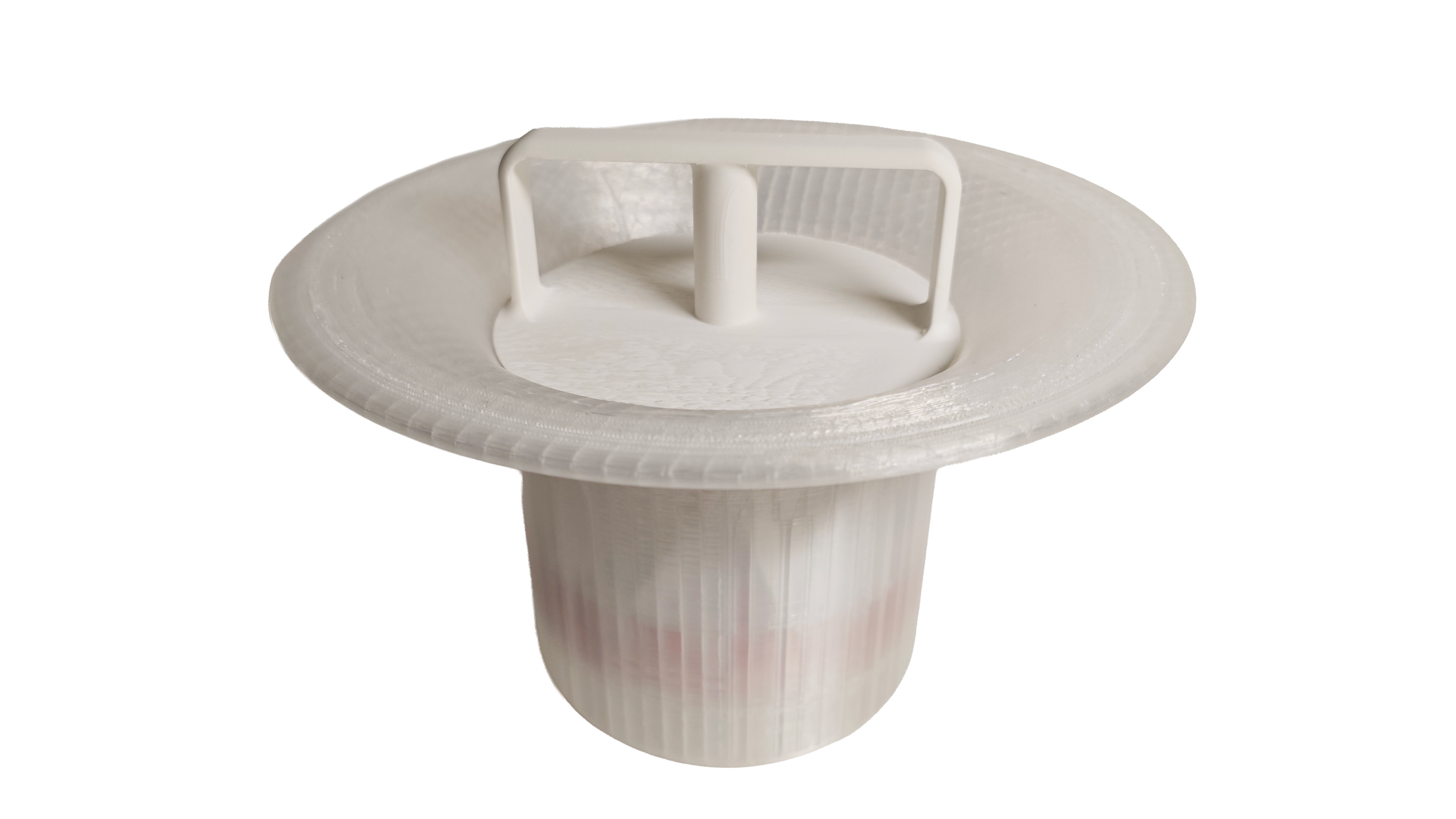 Flora Model